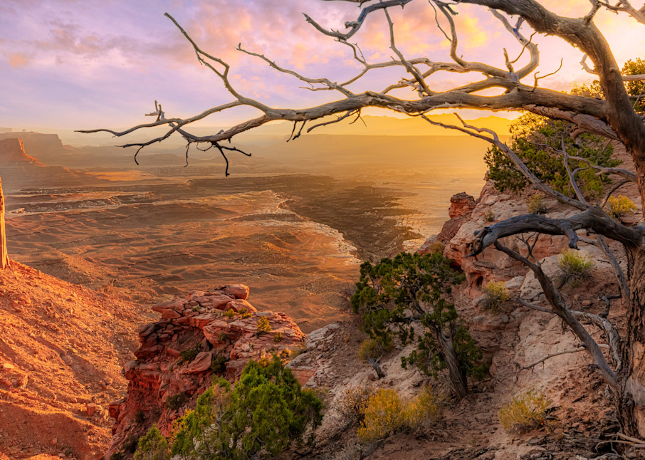 Buck Canyon, Utah | Landscape Photography | Tim Truby 