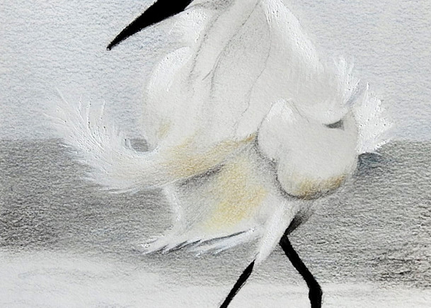 Stormy Egret (Largest) Art | Kathleen Slaven Art