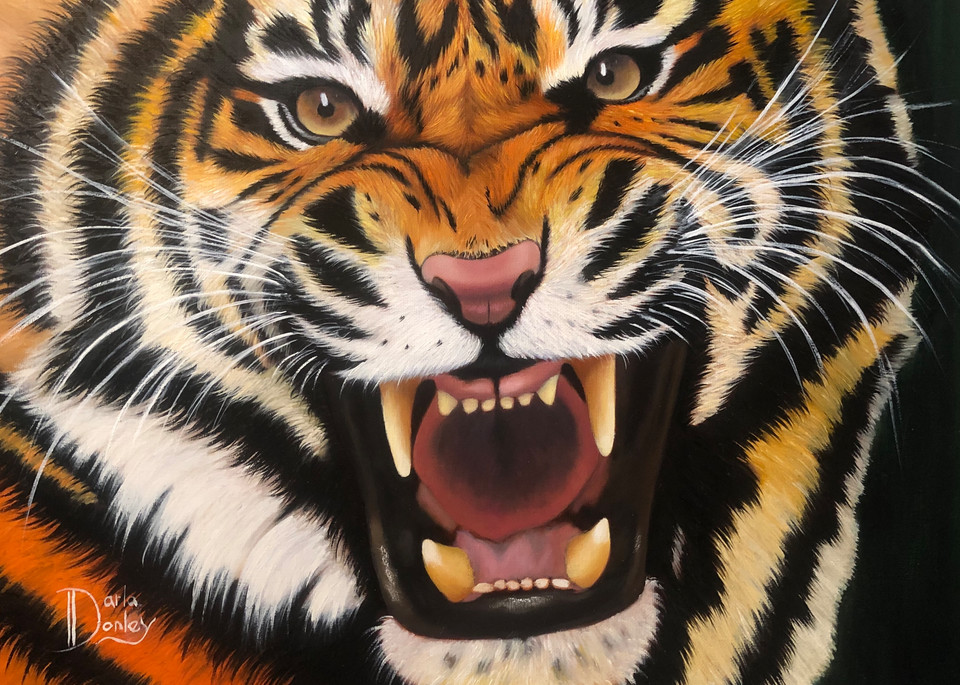 Roaring Tiger Art | darladonleyart