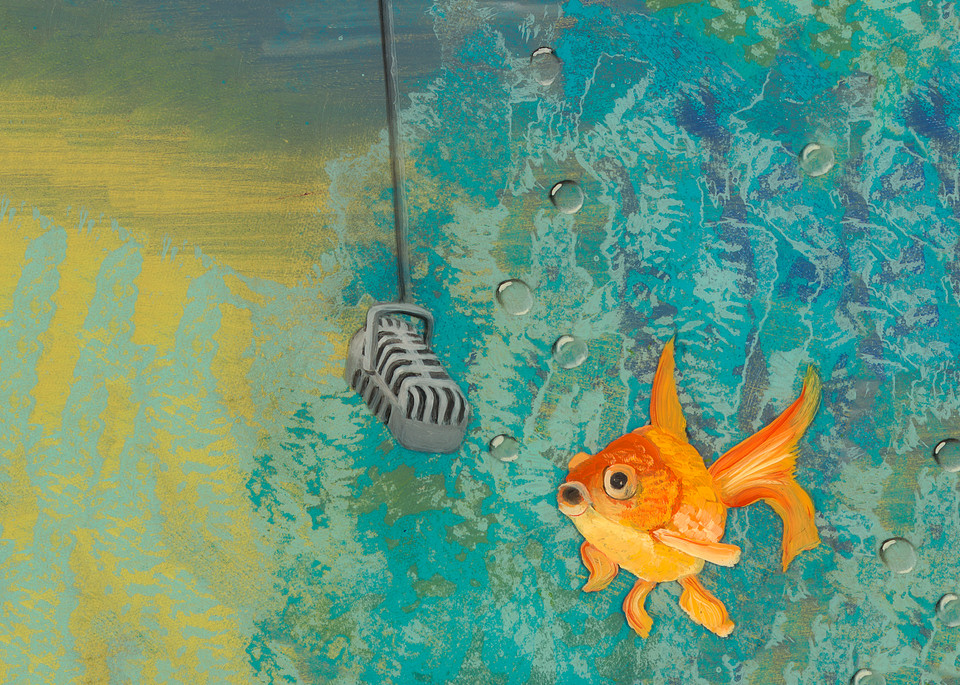 Singing Goldfish Art | Art by Heather Stadler