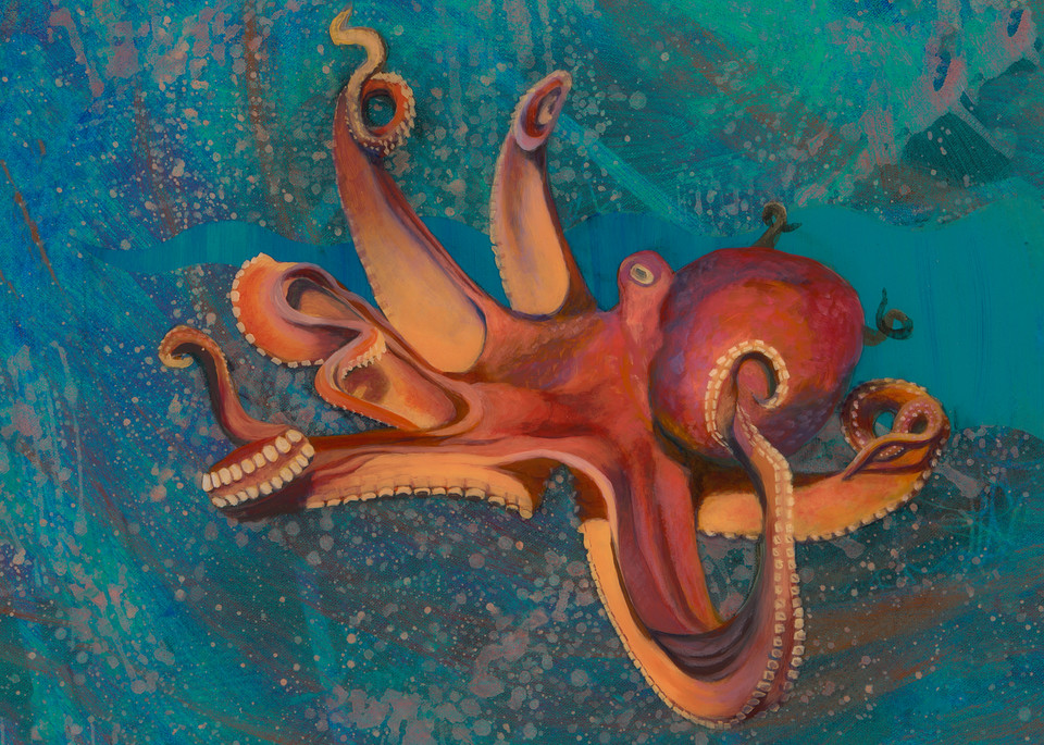 Octopus Art | Art by Heather Stadler