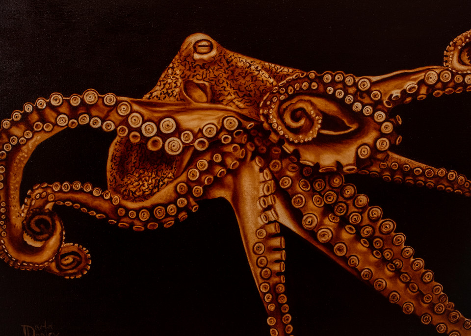 Bottom Dweller   Octopus Art | darladonleyart