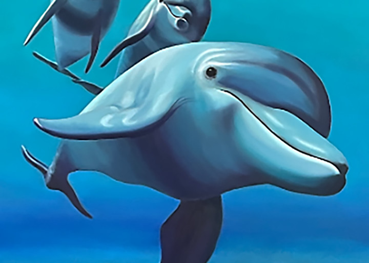 Three Amigos   Dolphins  Art | darladonleyart
