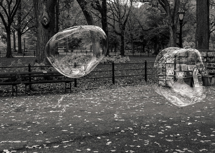 Central Park Bubbles  Photography Art | Alina Marin-Bliach Photography/alinabstudios LLC