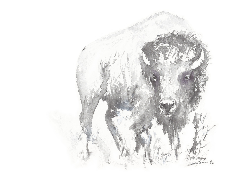 Bison On The Plains  Art | Debra Bruner Studio