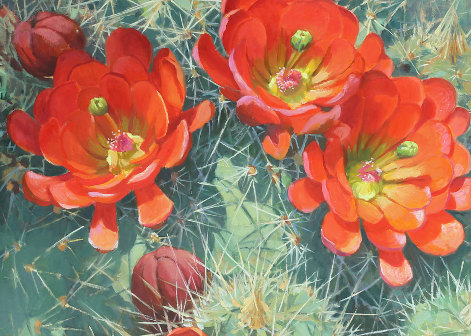 Cactus Flower 8 Art | Diehl Fine Art