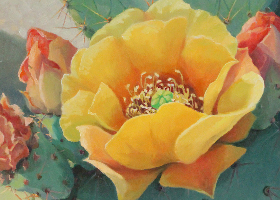 Cactus Flowers Art | Diehl Fine Art