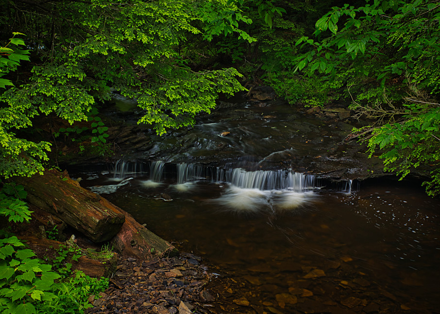 Cascades on a creek in Ricketts Glen, Pennsylvania