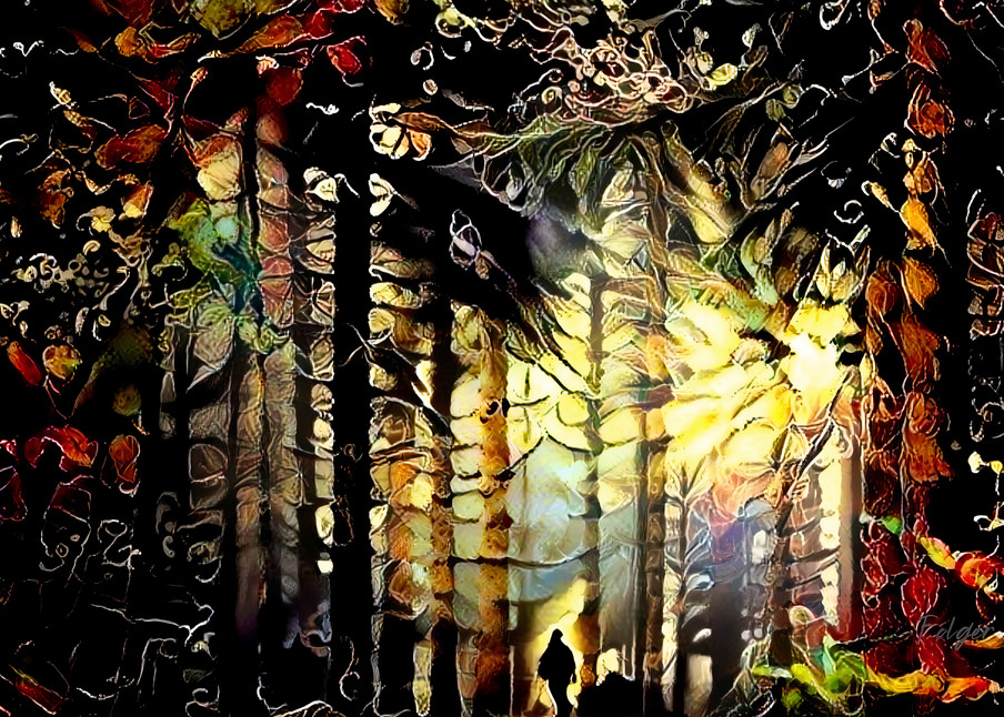 Forest Edge Art | Jacob Folger Artist