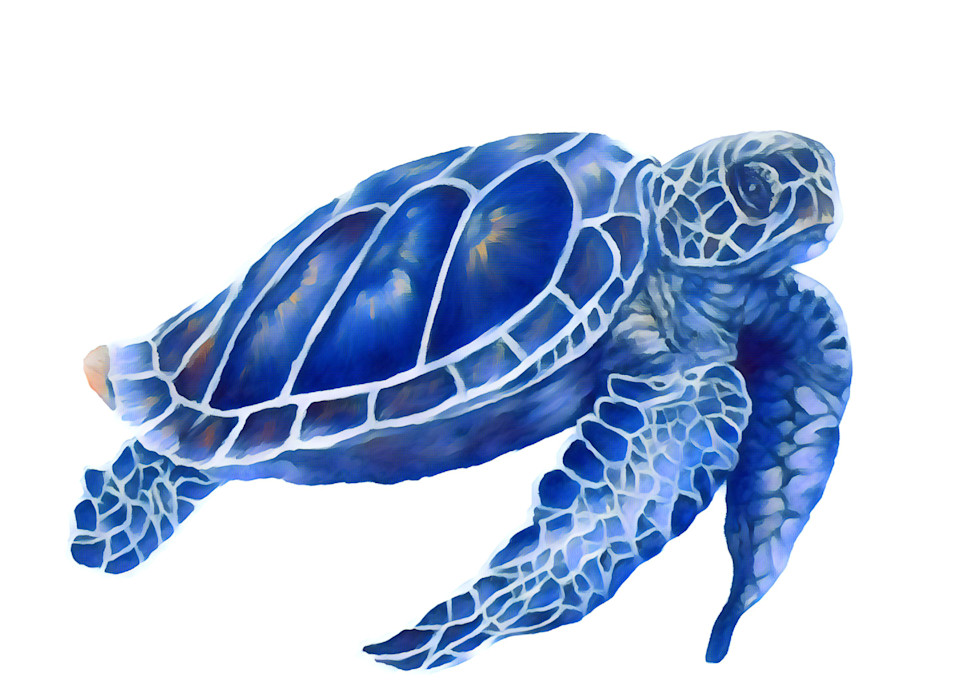 Ultra Blue Turtle Art | 3G Art 