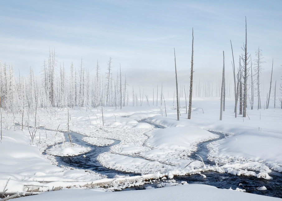 Streams Flowing Into Snow Field S6 A6544 Yellowstone National Park Wy Usa Photography Art | Clemens Vanderwerf Photography
