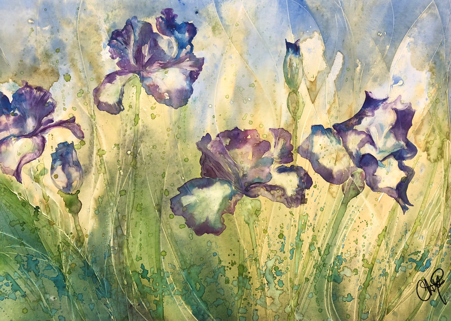 Grandmas Purple Iris Flower field watercolor painting.