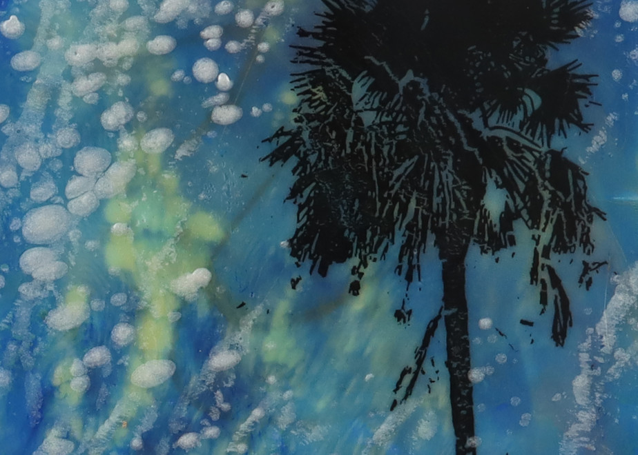 Palm Under The Stars  Art | annbreinig