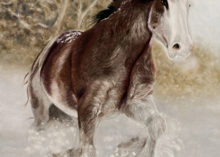 Draft horse-painting, Cool Draft by Nancy Conant