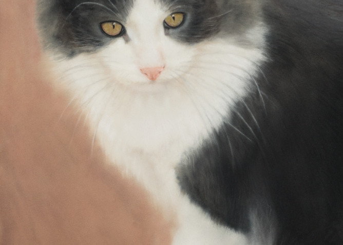 Cat portrait painting Finnegan by Nancy Conant