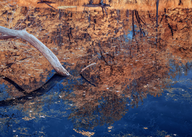 Sycamore Branch, Reflections, Dry Creek, Yuba County, California Photography Art | davidarnoldphotographyart.com