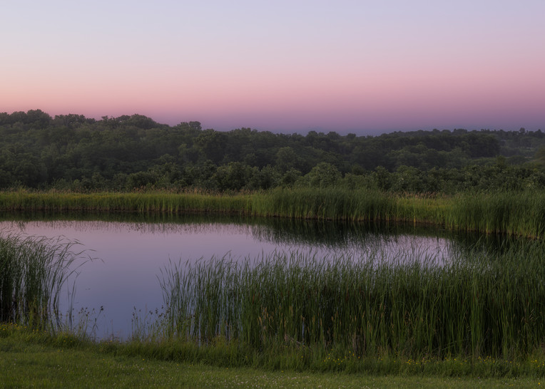 Pond Sunset #1