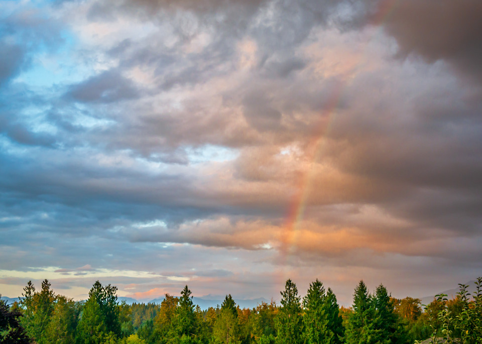 Radiant Rainbow | Susan J Photography, LLC