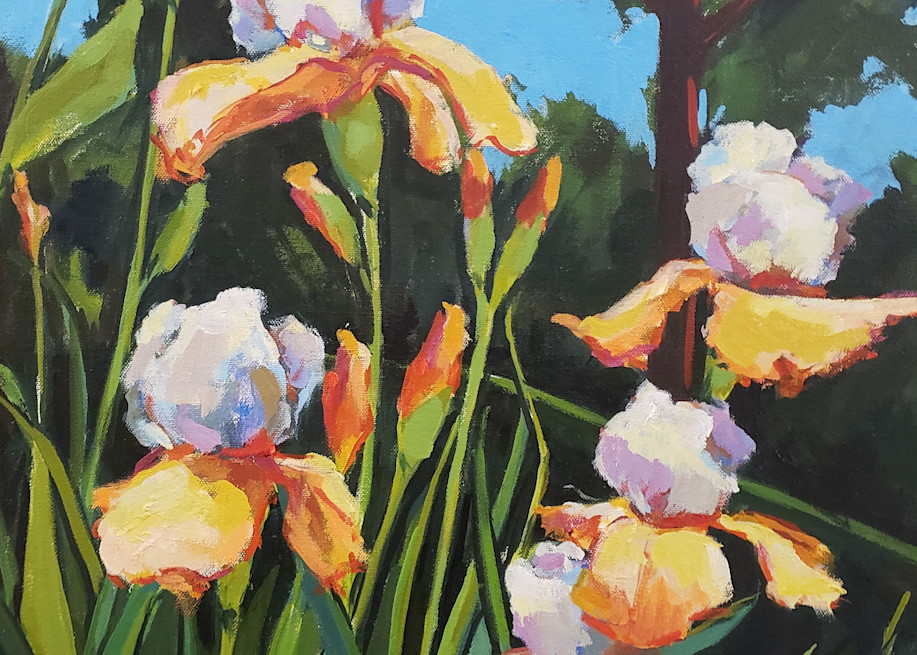 Orange Irises  Art | Jenn Hallgren Artist