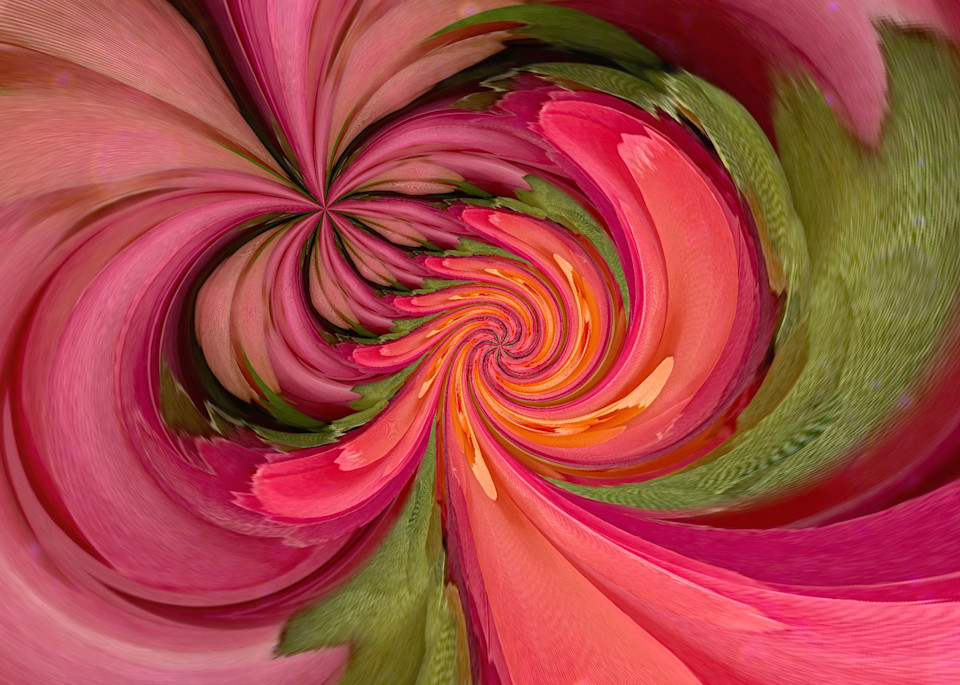 Circular Ranunculus Photography Art | Kathleen Messmer Photography