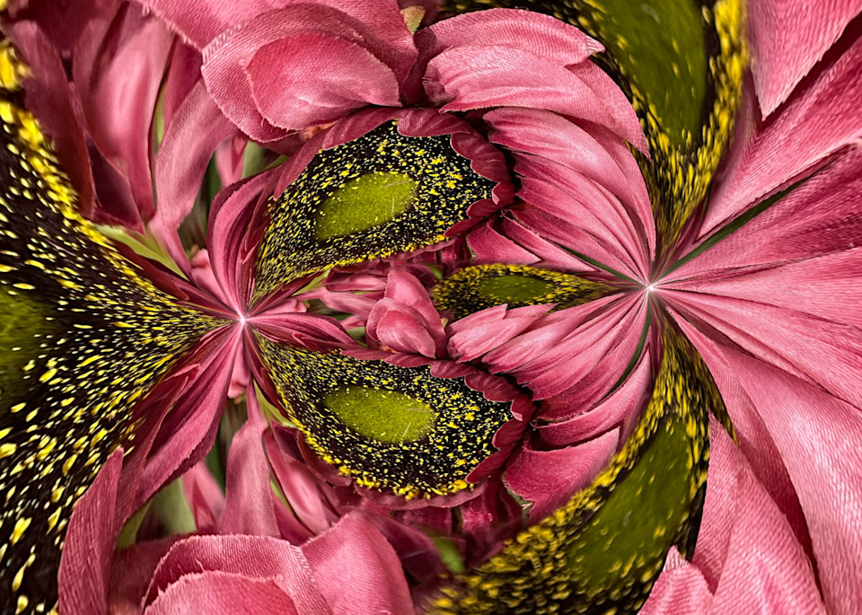 Circular Pink And Gold Photography Art | Kathleen Messmer Photography