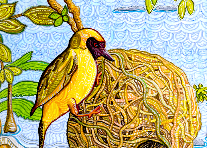 Masked Weaver  Lake Malawi Art | Kristen Palana