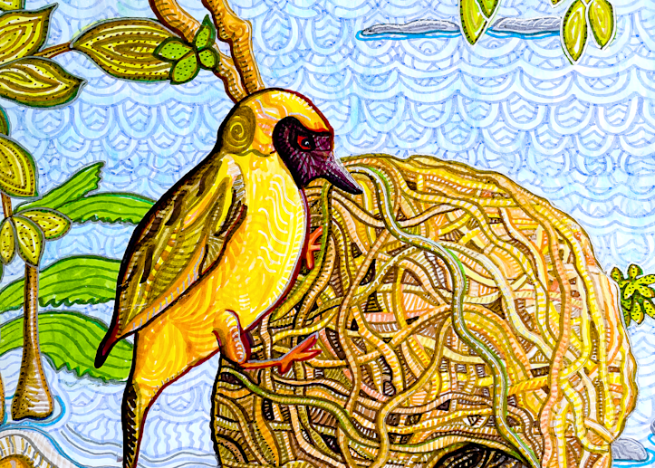 Gift Shop: Masked Weaver -Lake Malawi