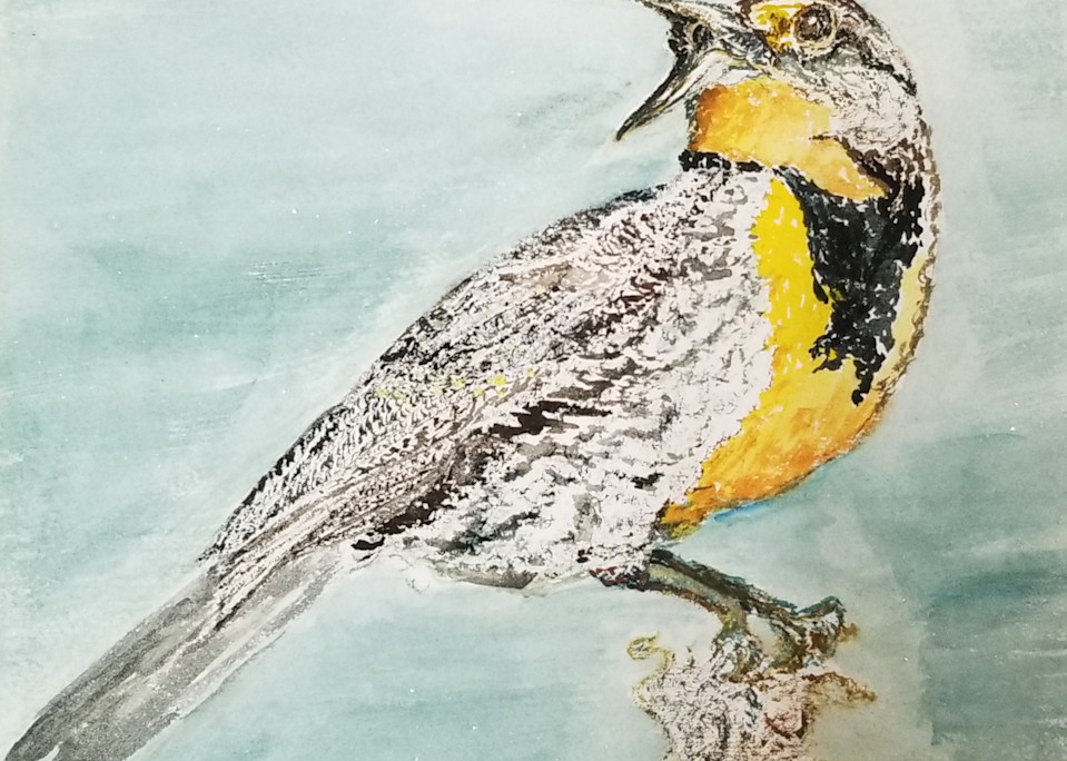Western Meadowlark Art | Redbird Art Gallery