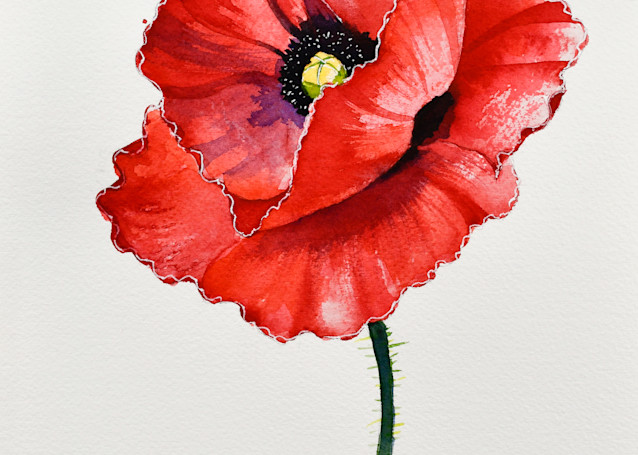 Poppy Greetings #13 Art | Katherine Rodgers Fine Art