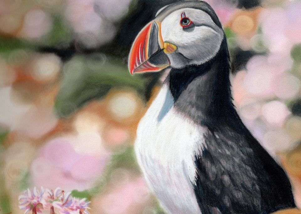 Pretty In Pink Puffin Art | Alexis King Artworks 