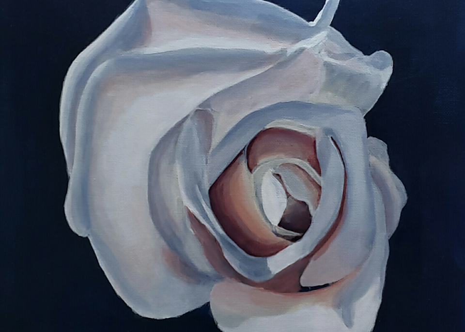 Indigo White Rose Art | Alexis King Artworks 