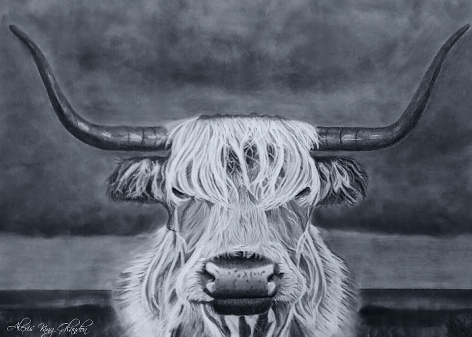 Moody Highland Cow Art | Alexis King Artworks 