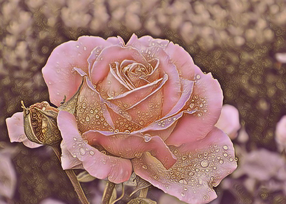 Gold Flecked Rose Photography Art | KAT MILLER-PHOTO ARTIST