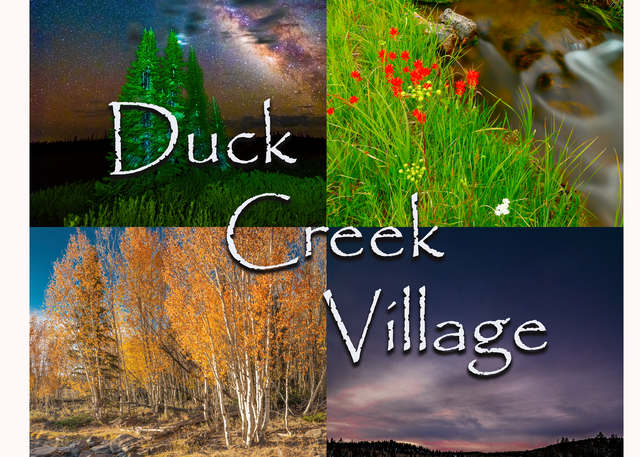 2022 Duck Creek 4 Seasons Poster Photography Art | Craig Primas Photography