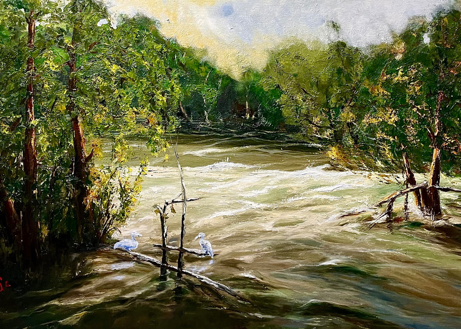 Eno River Rising Art | Lazyriver Gallery