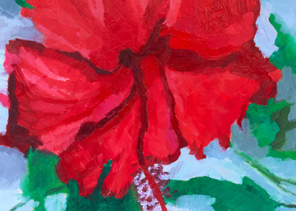Hibiscus Flower  Art | Gabriela Ortiz Art and Design