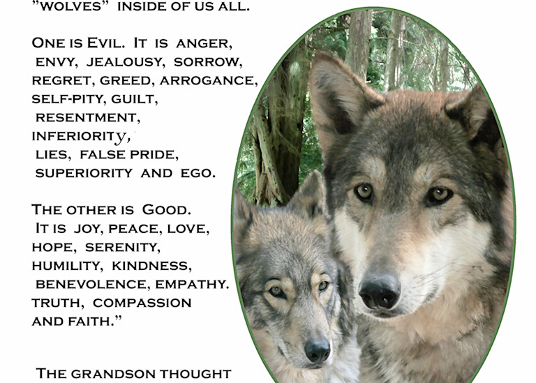 Two Wolves Photography Art | Art Beyond Control