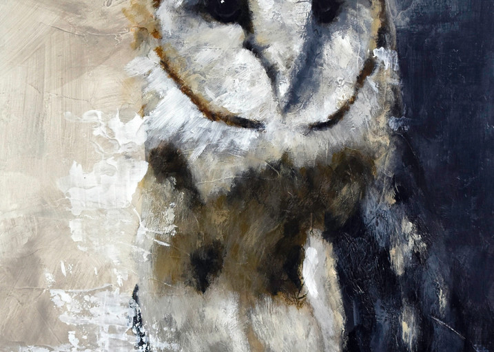 Quebec Owl Art | Dane Youkers Fine Art