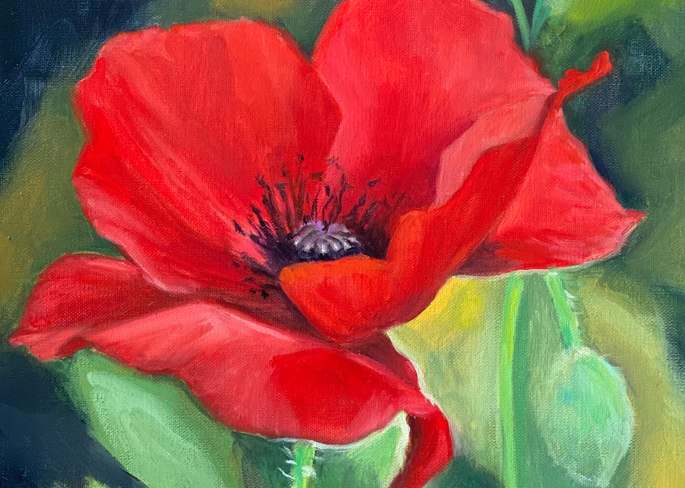 Red Poppy  Art | Jennifer Zardavets Art