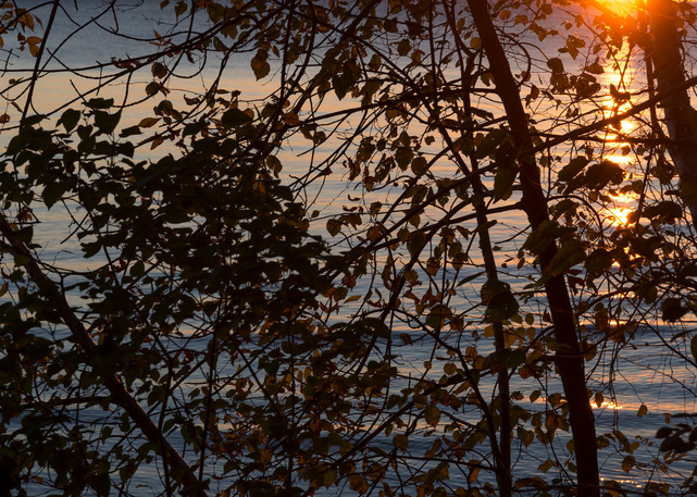 Autumn Sunrise Photography Art | Elizabeth Stanton Photography