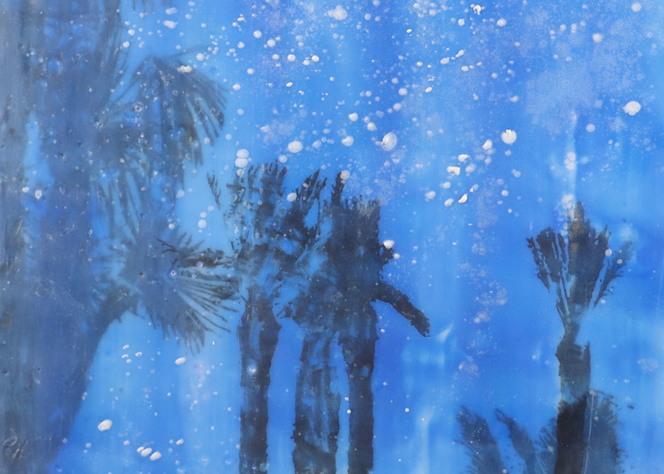 Palms At Midnight Art | annbreinig
