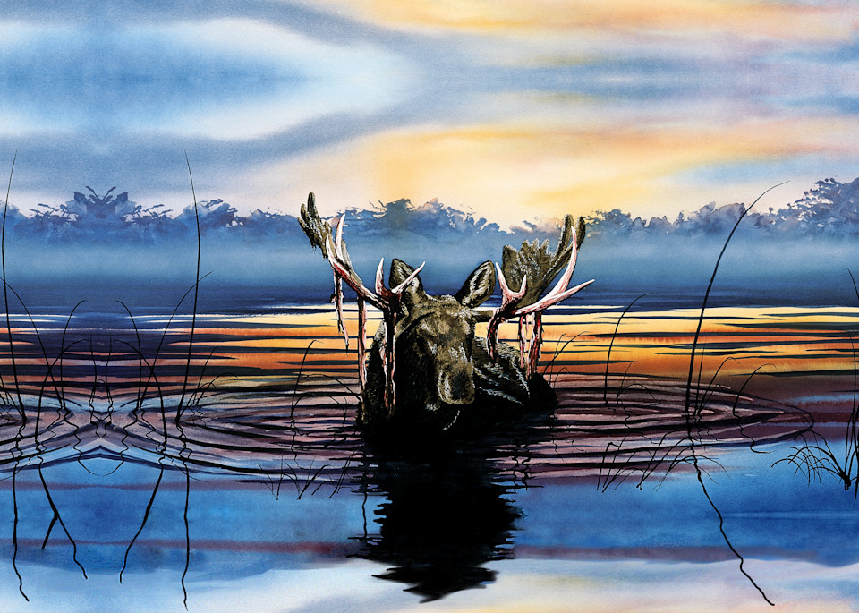 Lake Snoozin' Moose Art | originalz