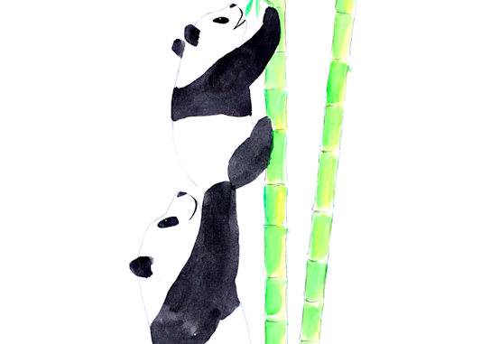 Panda Wants Bamboo Art | Emily Kate Moon