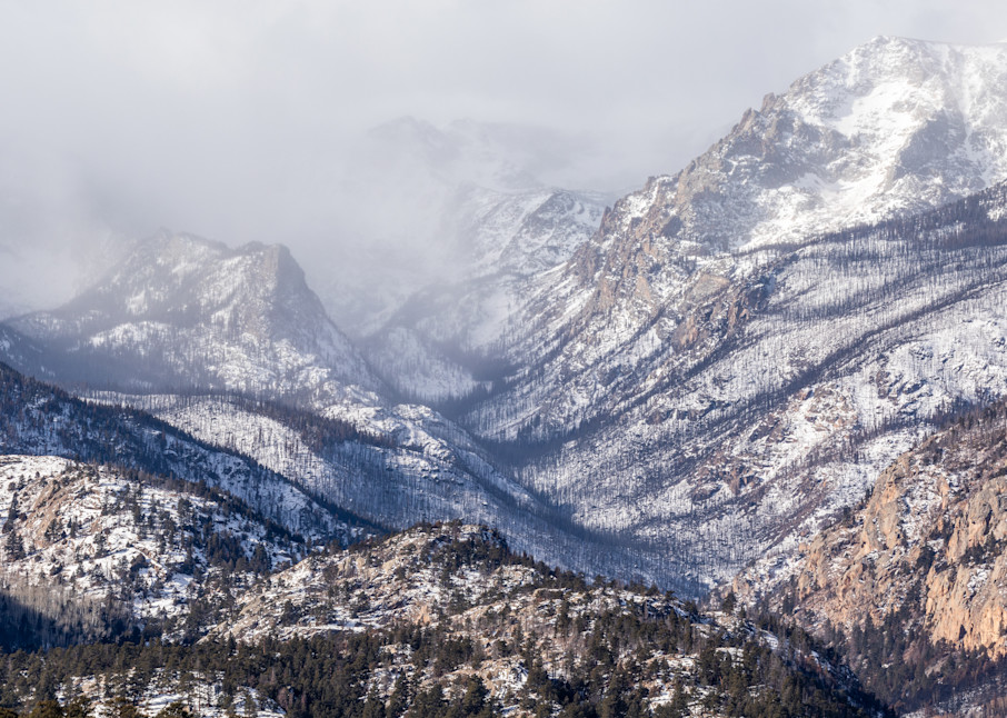 Foggy Morning #2, Rocky Mountain National Park, Colorado, Usa Photography Art | My World Pix