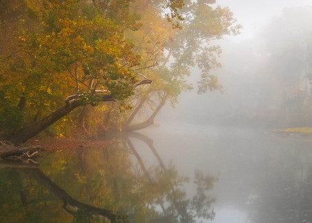 Delaware Fall 8 Pan Photography Art | Images of the Ozarks, Photography by Steve Snyder