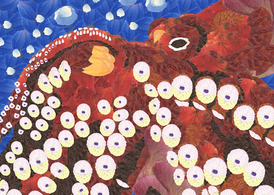 Octopus Art | smacartist