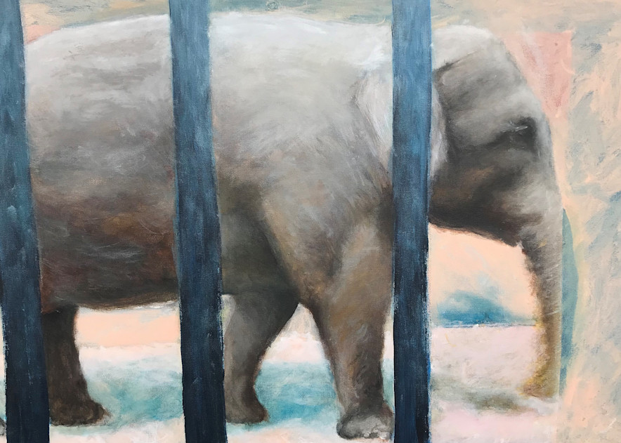 Elephant: Amsterdam Zoo #2, 2020 Art | Jonathan Mann ART