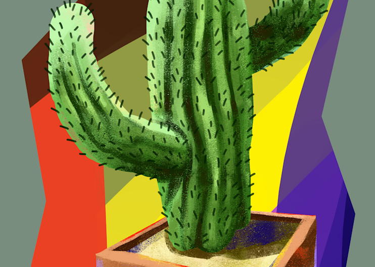 Abstract Cactus Art | Matt Pierson Artworks