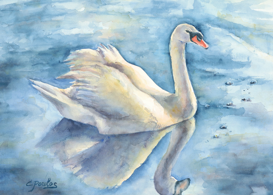Majestic Swan Print Art | Cathy Poulos Art