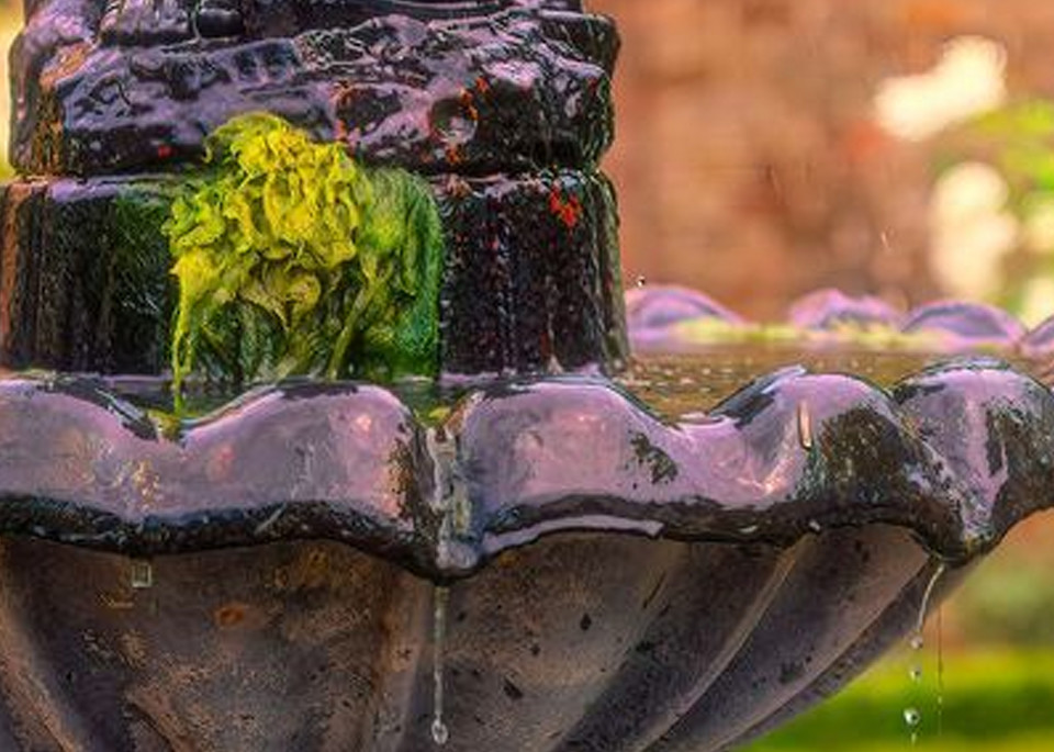 Water Fountain Drip Photography Art | Photoeye Inc